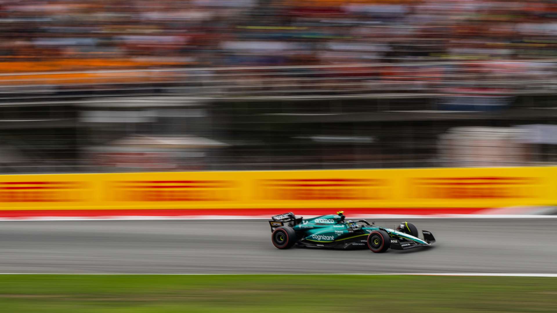 现场观众的 现场观众的