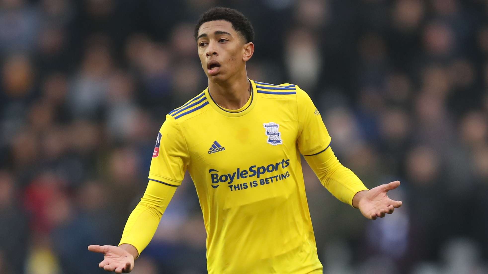 年间连获三 年间连获三