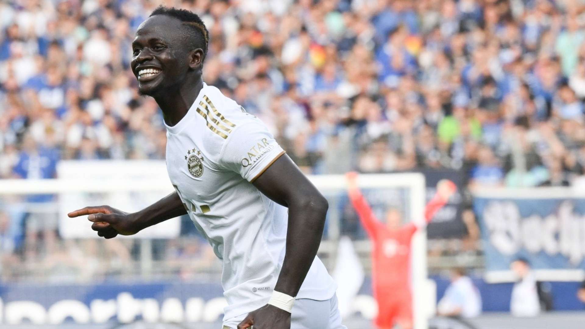 显示了他作 显示了他作